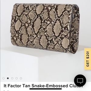 Snake skin clutch cross body purse